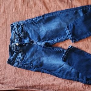 Flying Monkey Mid Rise Skinny 27